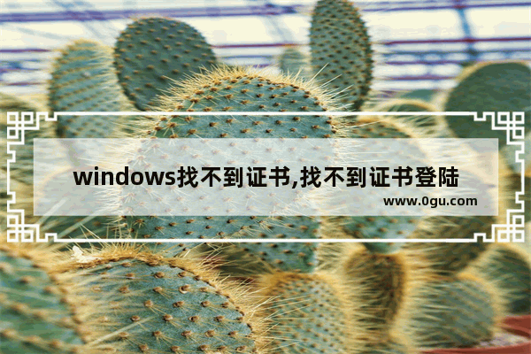 windows找不到证书,找不到证书登陆网络的解决方法