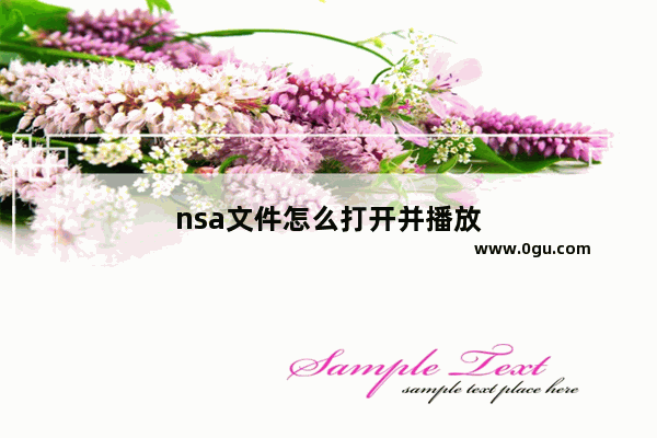 nsa文件怎么打开并播放