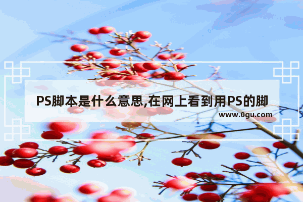 PS脚本是什么意思,在网上看到用PS的脚本编辑