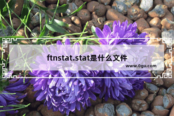 ftnstat.stat是什么文件