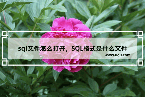 sql文件怎么打开，SQL格式是什么文件？