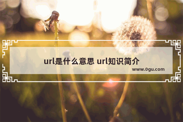 url是什么意思 url知识简介