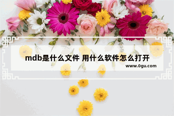 mdb是什么文件 用什么软件怎么打开