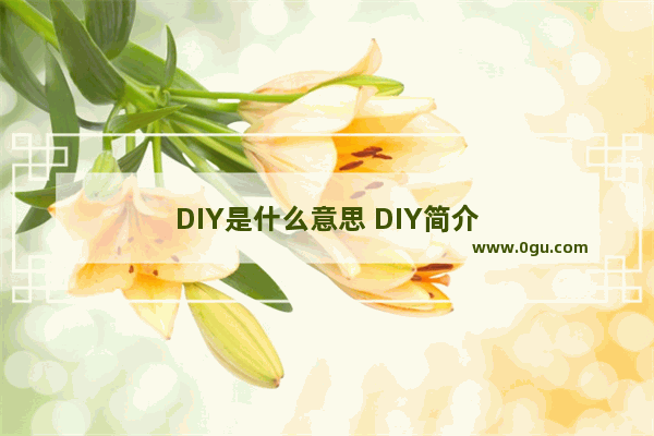 DIY是什么意思 DIY简介