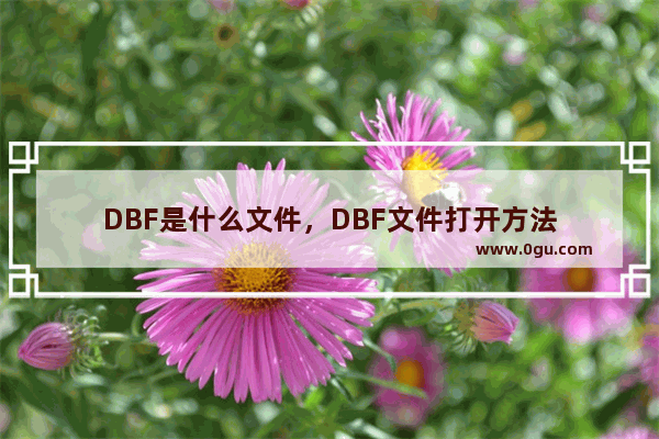 DBF是什么文件，DBF文件打开方法