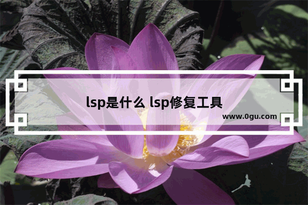 lsp是什么 lsp修复工具