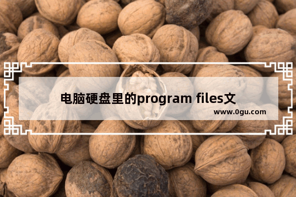 电脑硬盘里的program files文件夹是什么意思