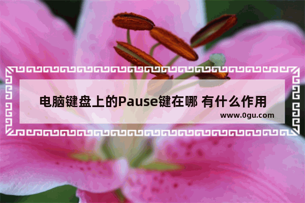 电脑键盘上的Pause键在哪 有什么作用