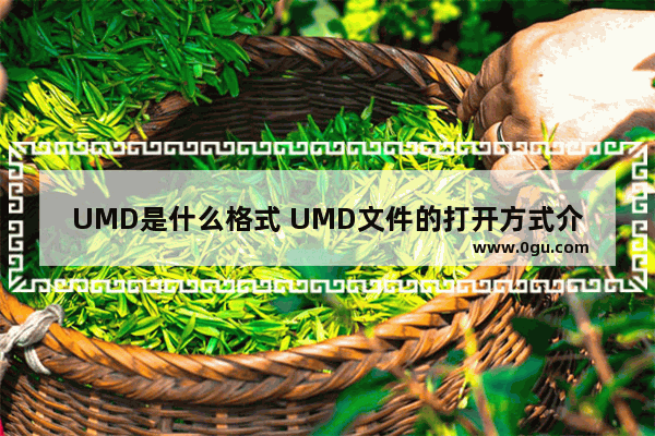 UMD是什么格式 UMD文件的打开方式介绍