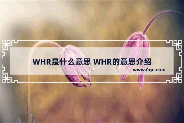 WHR是什么意思 WHR的意思介绍