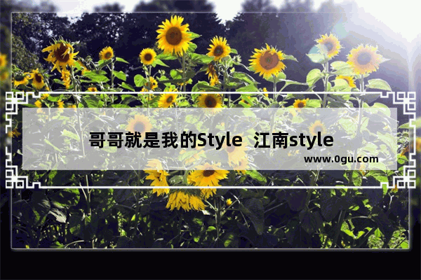 哥哥就是我的Style  江南style女版