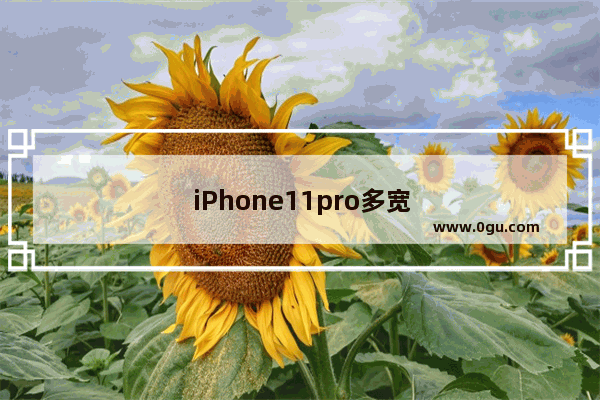 iPhone11pro多宽