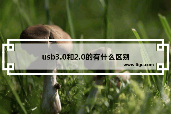 usb3.0和2.0的有什么区别