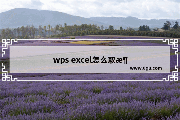 wps excel怎么取消分页：wps excel怎么取消分页符