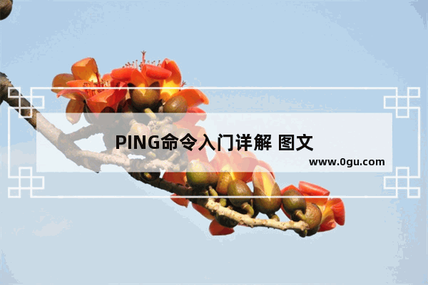 PING命令入门详解 图文