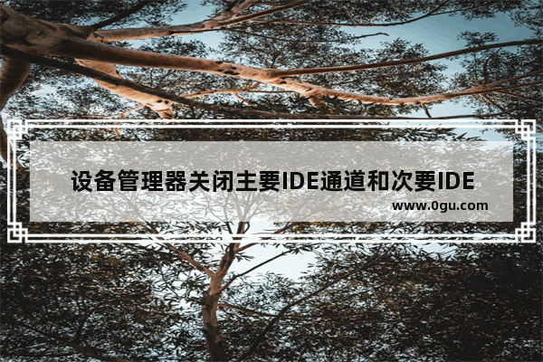 设备管理器关闭主要IDE通道和次要IDE通道的方法