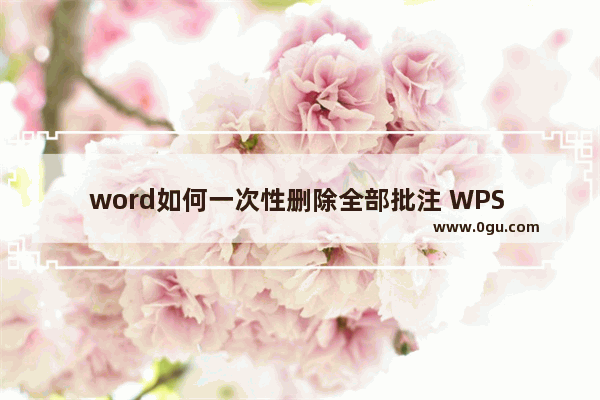 word如何一次性删除全部批注 WPS Word文档中一次性删除全部批注的方法