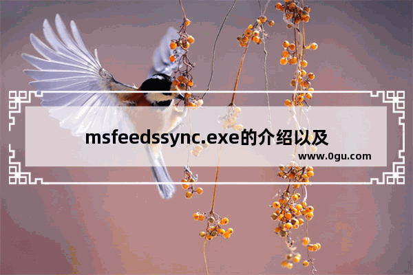 msfeedssync.exe的介绍以及关闭的方法