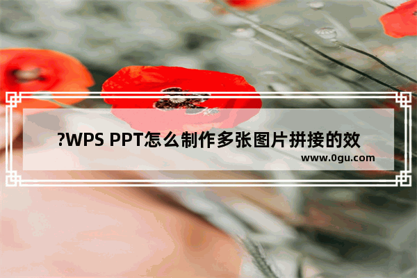 ?WPS PPT怎么制作多张图片拼接的效果 WPS演示文稿中进行图片拼接操作的方法教程