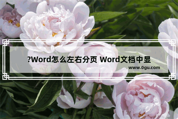 ?Word怎么左右分页 Word文档中显示左右两个页面的方法教程