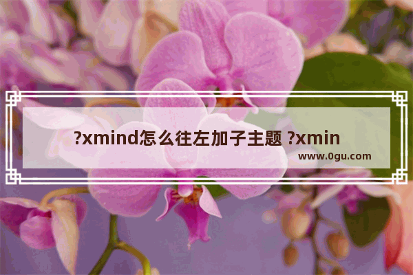 ?xmind怎么往左加子主题 ?xmind控制子主题往左添加的方法