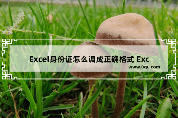 Excel身份证怎么调成正确格式 Excel身份证调成正确格式的方法