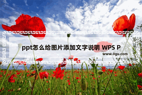 ppt怎么给图片添加文字说明 WPS PPT在图片上添加文字的方法