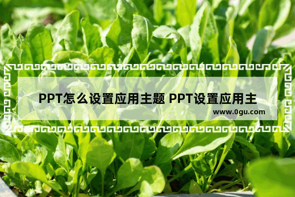 PPT怎么设置应用主题 PPT设置应用主题的方法