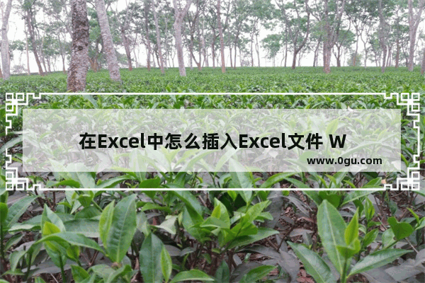 在Excel中怎么插入Excel文件 WPS Excel中插入Excel文件的方法