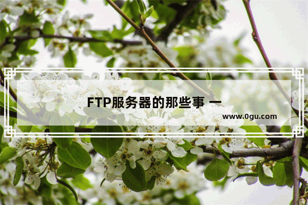 FTP服务器的那些事 一