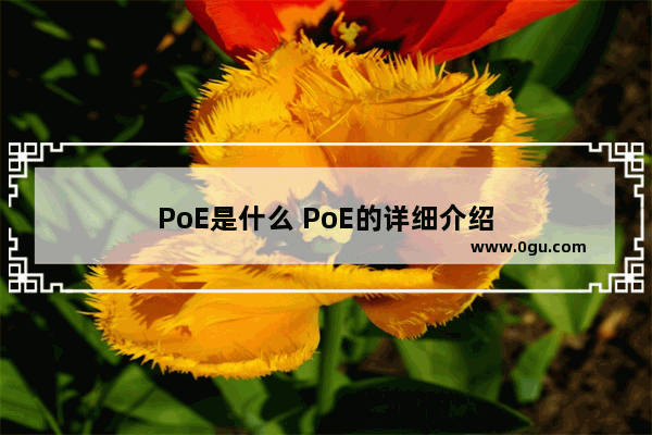 PoE是什么 PoE的详细介绍