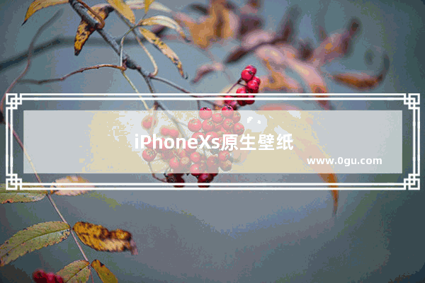 iPhoneXs原生壁纸 iphonexs原生壁纸怎么找