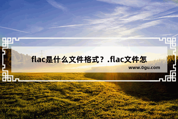 flac是什么文件格式？.flac文件怎么打开？