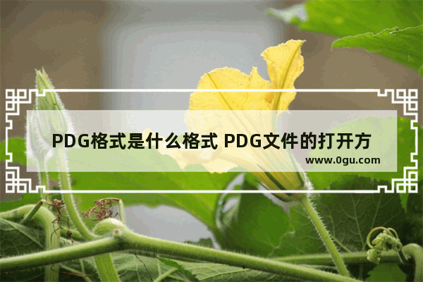 PDG格式是什么格式 PDG文件的打开方法