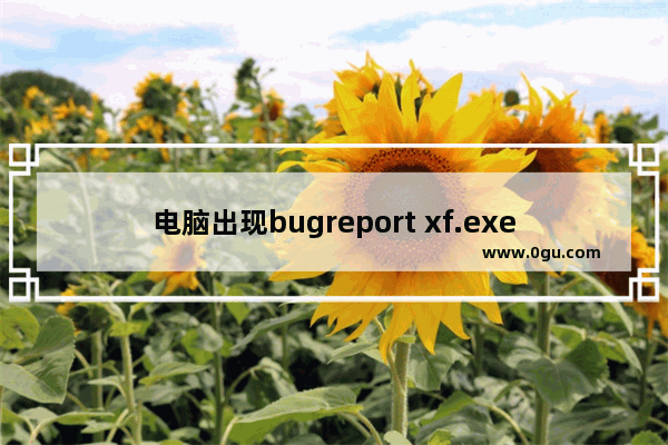 电脑出现bugreport xf.exe系统错误该怎么办?