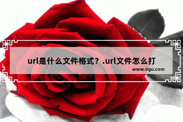 url是什么文件格式？.url文件怎么打开？