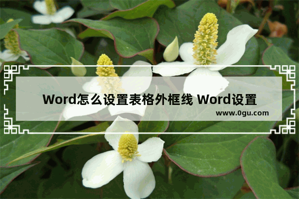 Word怎么设置表格外框线 Word设置表格外框线的方法