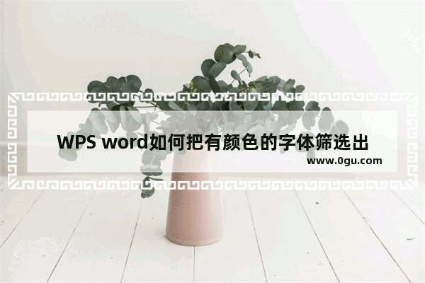 WPS word如何把有颜色的字体筛选出来 WPS word中查找有颜色的文字的方法