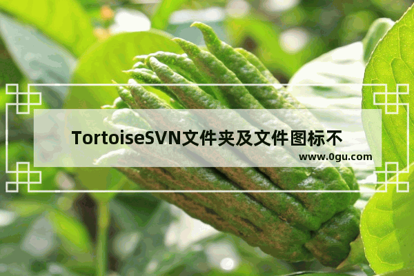 TortoiseSVN文件夹及文件图标不显示问题解决方法(兼容xp、window7与64位)