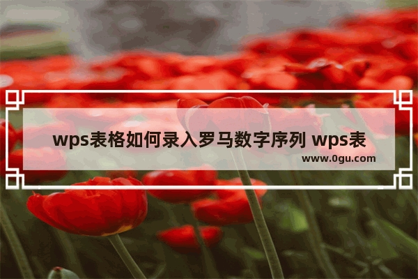 wps表格如何录入罗马数字序列 wps表格录入罗马数字序列的方法