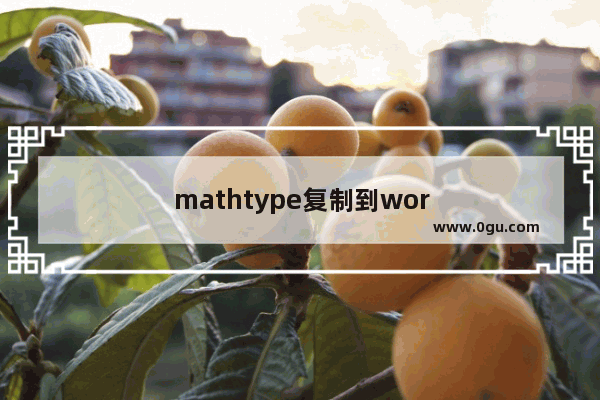 mathtype复制到word中出错