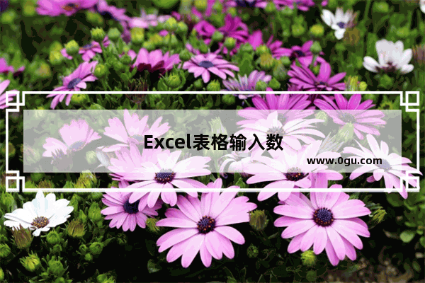 Excel表格输入数字：excel表格输入数字自动变0