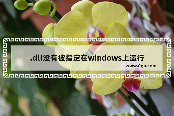 .dll没有被指定在windows上运行该怎么办?