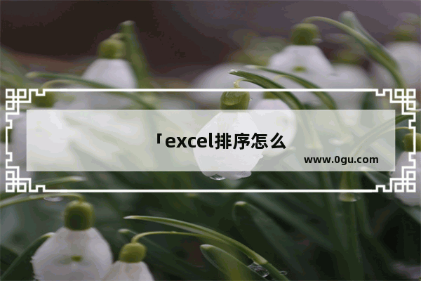 「excel排序怎么排名次」(excel排序怎么排名次由小到大函数)