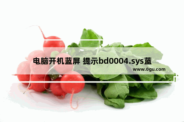 电脑开机蓝屏 提示bd0004.sys蓝屏的解决办法