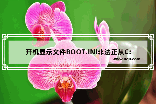 开机显示文件BOOT.INI非法正从C:windows启动怎么办？