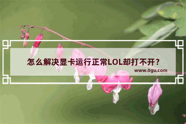 怎么解决显卡运行正常LOL却打不开？