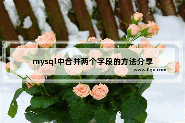 mysql中合并两个字段的方法分享