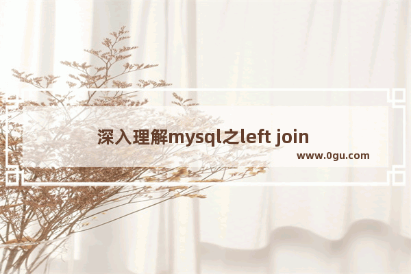 深入理解mysql之left join 使用详解