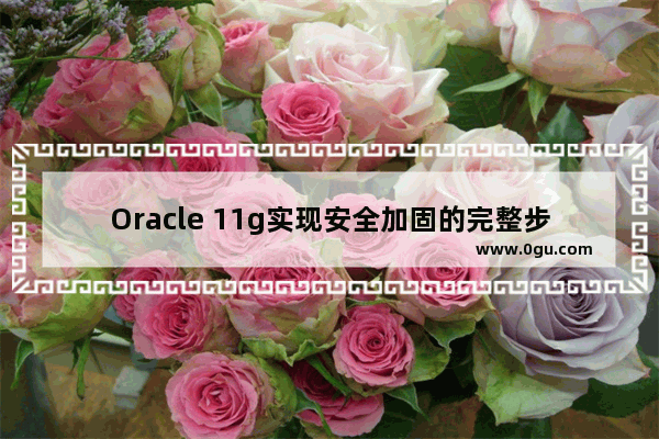 Oracle 11g实现安全加固的完整步骤